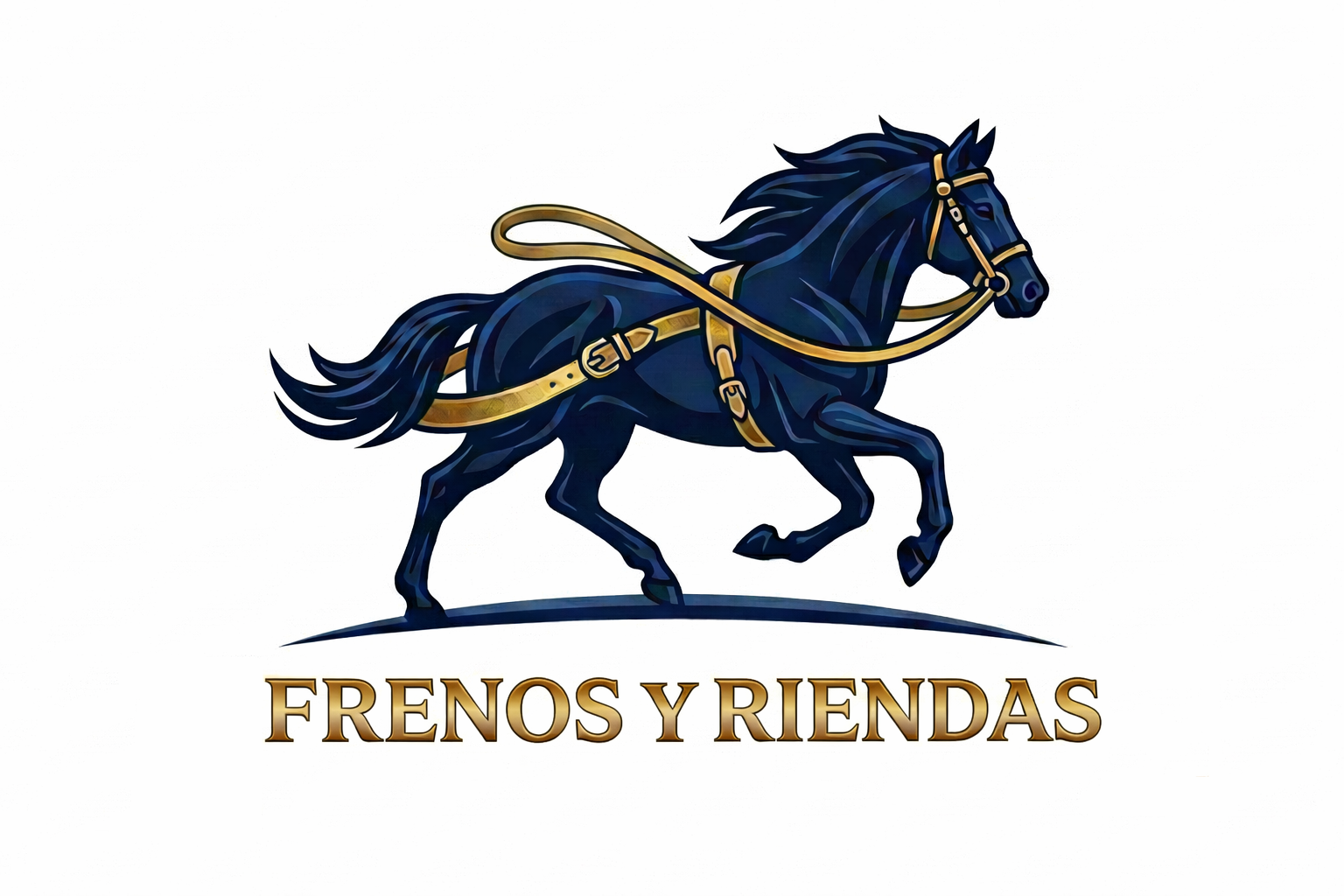 Frenos y Riendas